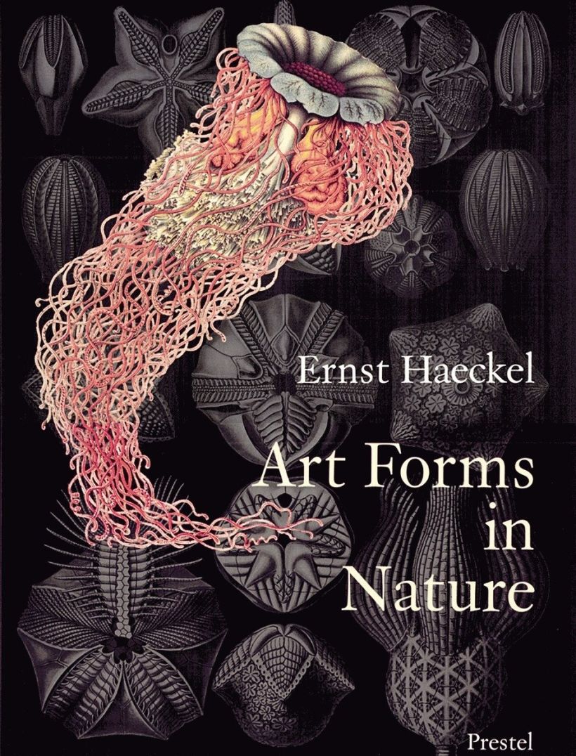 Art Forms in Nature, de Ernst Haeckel, Dover Publications