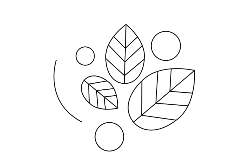 Descarga gratis: patrón botánico para bordar con punch needle de Caro Bello 2