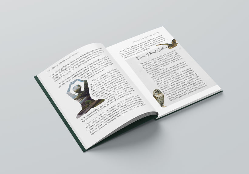Diseño editorial: Maquetación e ilustración de Aprende a hablar con los Animales 4
