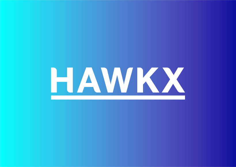 HAWK X 4