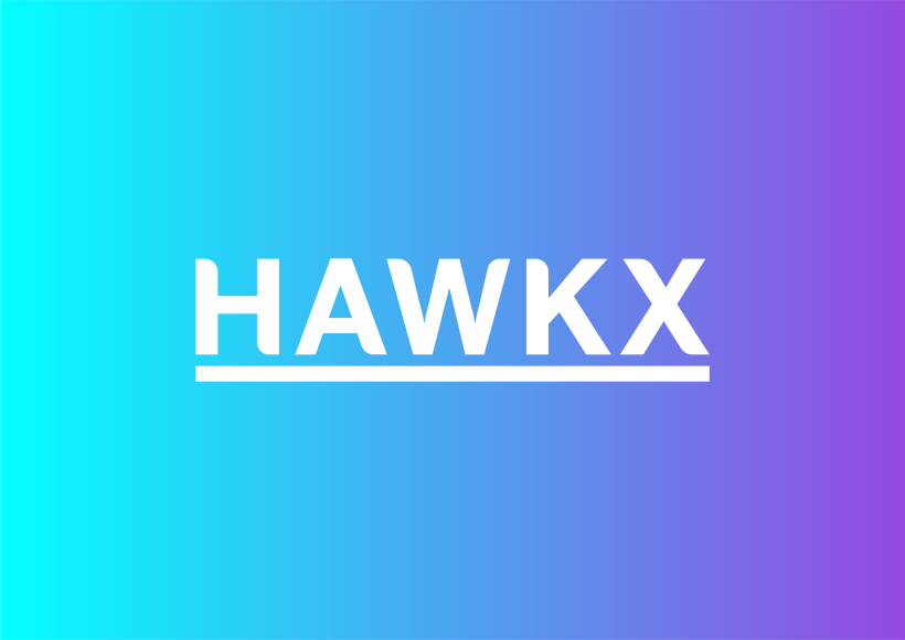 HAWK X 24
