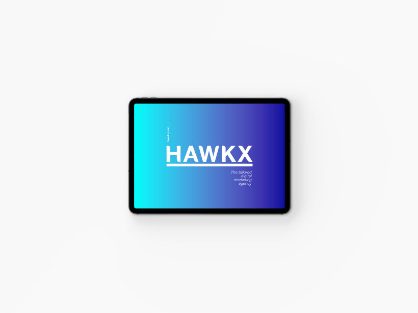 HAWK X 3