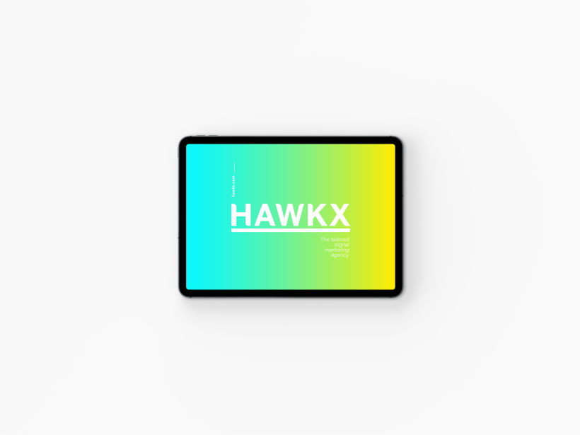 HAWK X 17