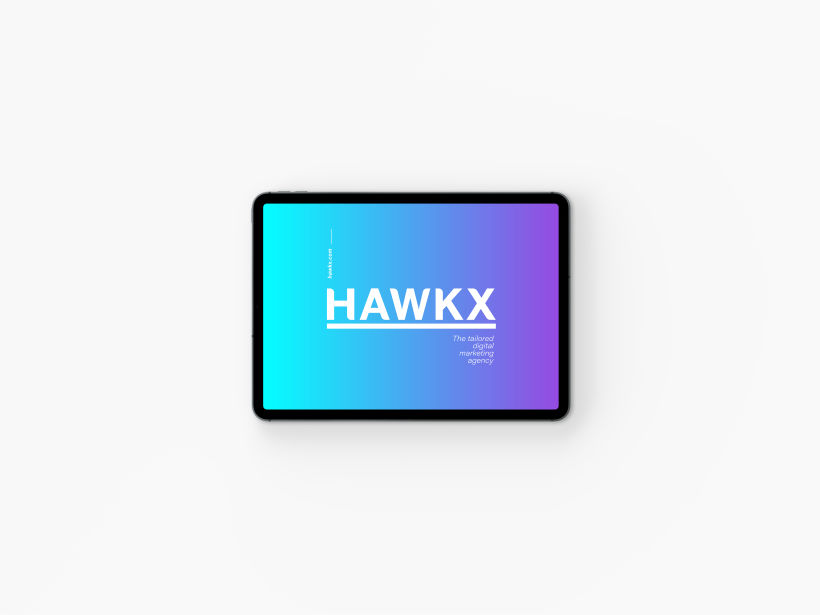 HAWK X 23