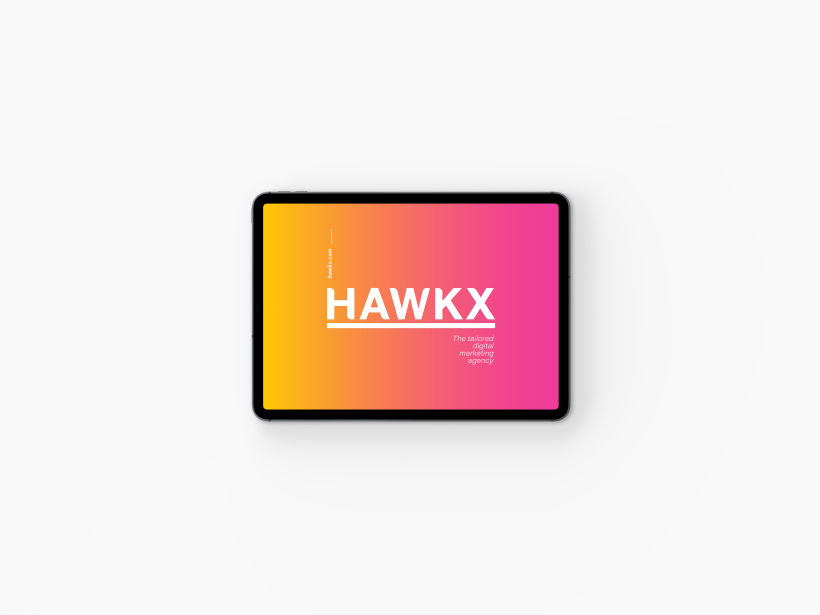 HAWK X 10