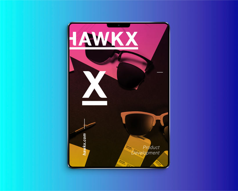 HAWK X 6
