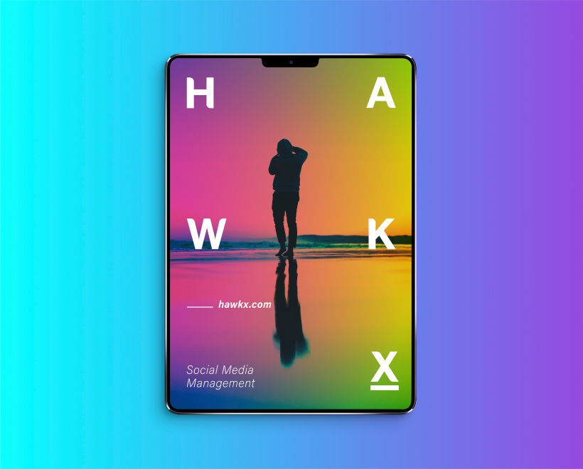 HAWK X 26