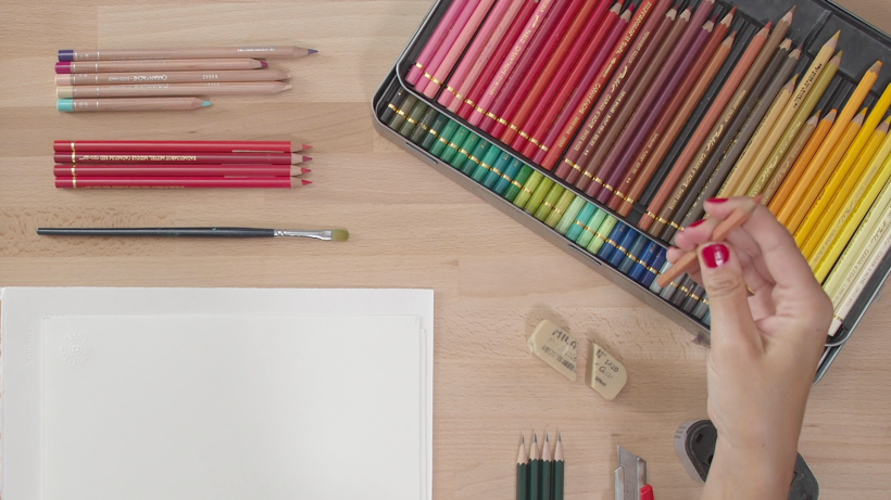 Materiales para una ilustración comercial con lápices de colores 10