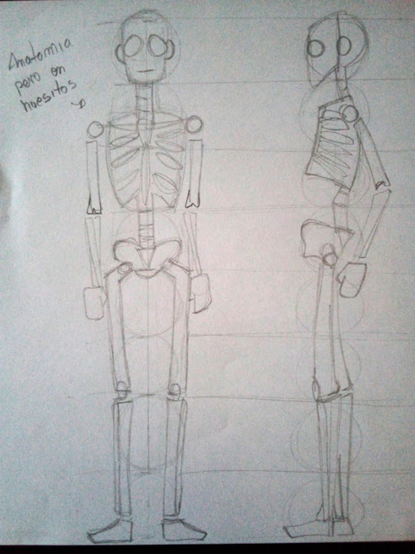 Mi Proyecto del curso: Mi anatomia 0