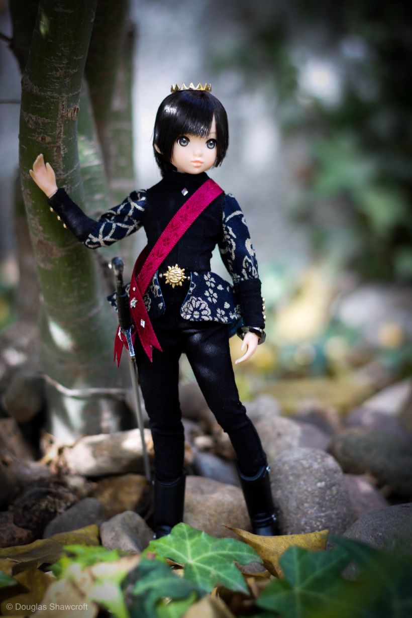 Prince garment - 1/6 doll 0