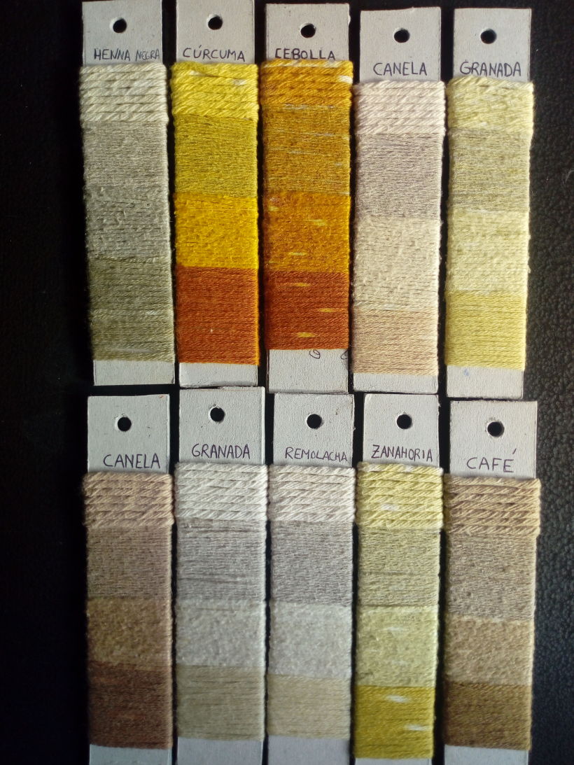 Mi Proyecto del curso: Teñido textil con pigmentos naturales -1
