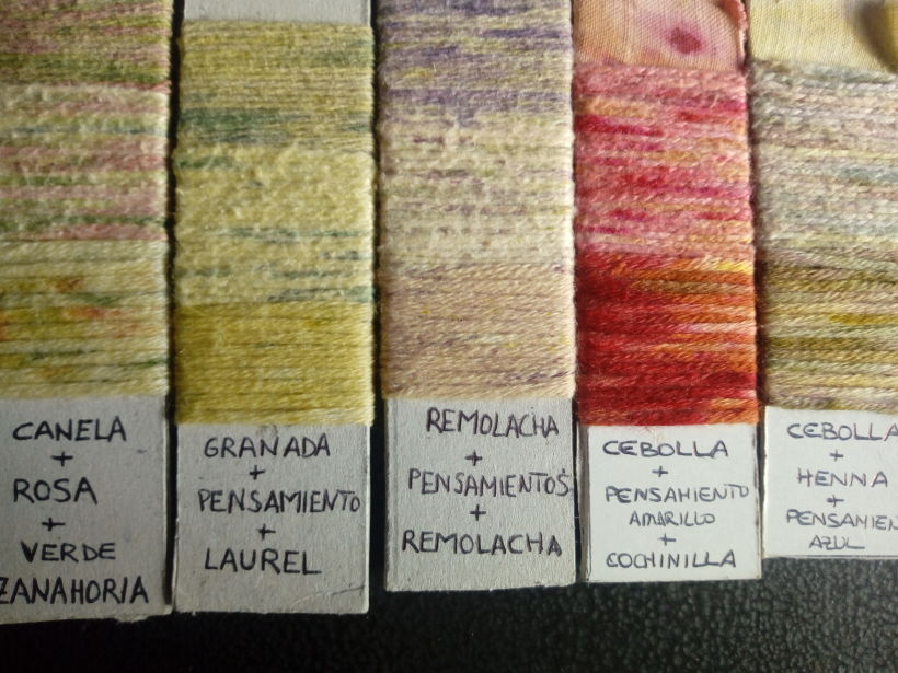 Mi Proyecto del curso: Teñido textil con pigmentos naturales 0