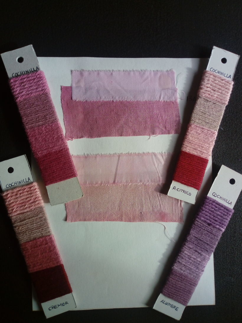 Mi Proyecto del curso: Teñido textil con pigmentos naturales 4