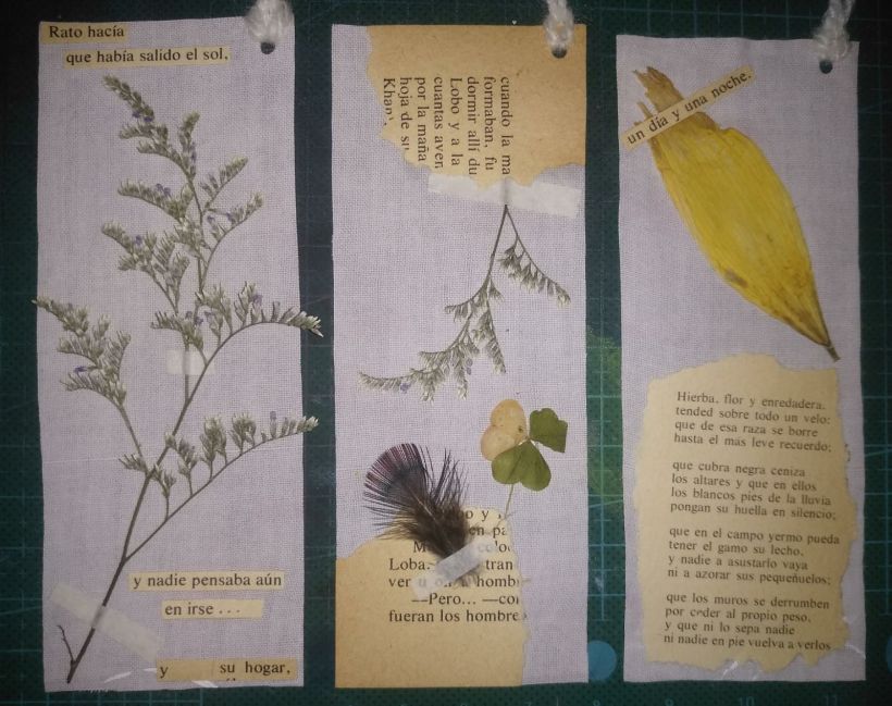 Mi Proyecto del curso: Marcapáginas botánicos -1