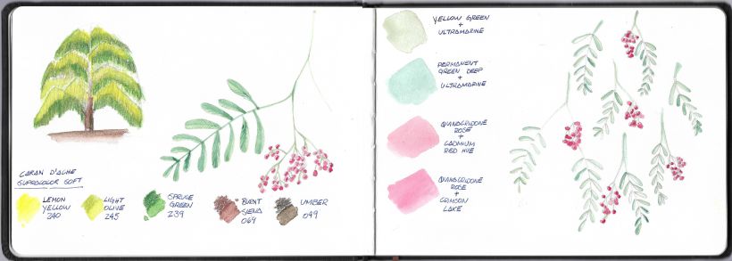 My project in Botanical Watercolor Sketchbook course 5