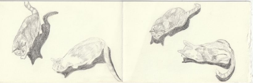 Concertina artist book. Drawings of cats playing. 3