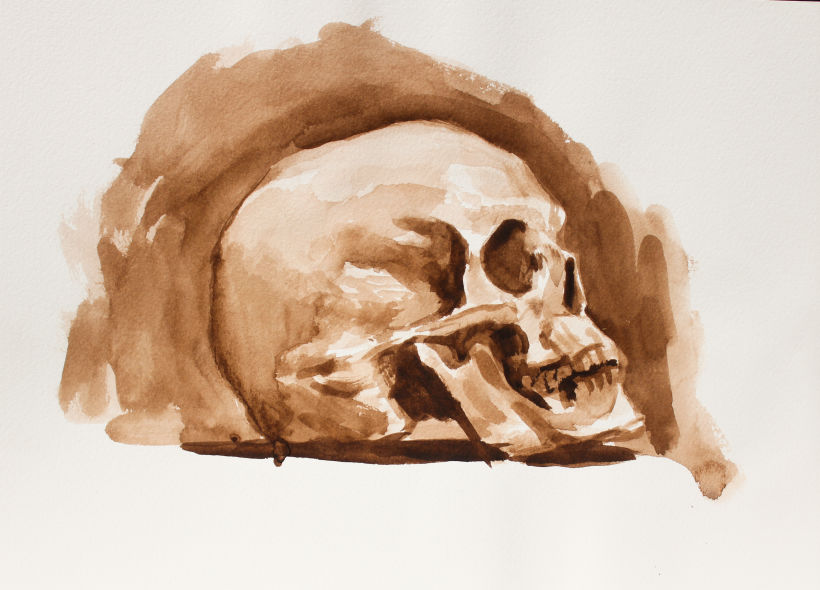 Skull profile view. Painted with Van Dyke Brown.
