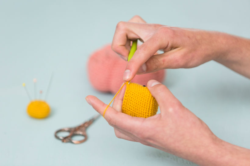 Se pueden tejer objetos tridimensionales con la técnica de crochet. Príncipe del Crochet.