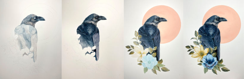 Mi Proyecto del curso: Ilustración naturalista de aves con acuarela 4