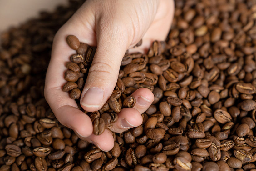 Los restos de granos de café se utilizaron para hacer tintas vegetales.