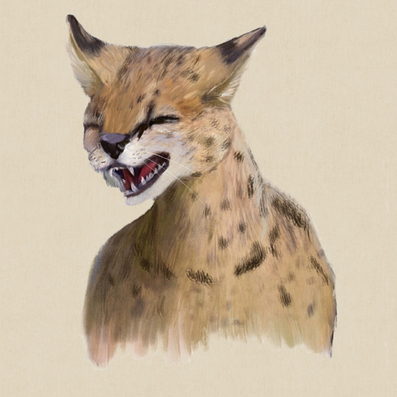 My project in Naturalist Animal Illustration with Procreate course 1