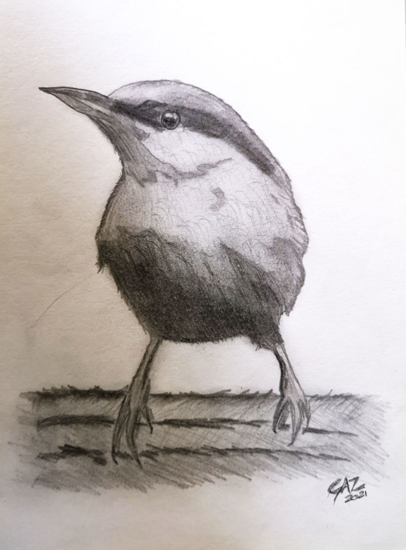 Tonal Value Bird Drawing - Project 1 -1