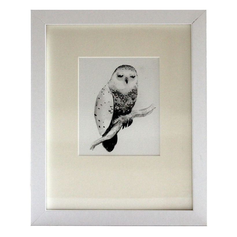 Owl, watercolour