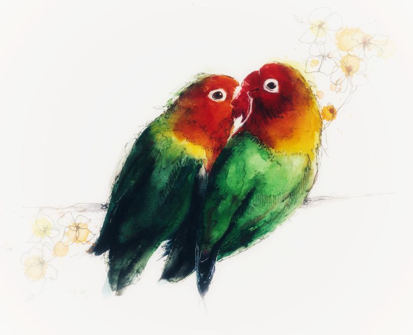 Love birds using watercolour inks. Bright and dramatic... a little bit of this type of this ink goes a long way!