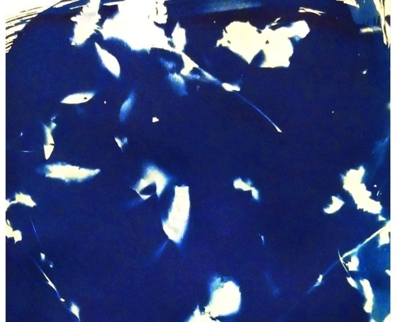 My project in Cyanotype: Printing with Light course 0