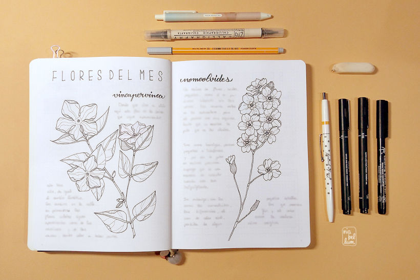 CUADERNO BULLET JOURNAL FLORES – Praben