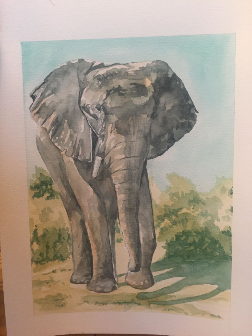 My project in Experimental Watercolor Techniques for Beginners course 0