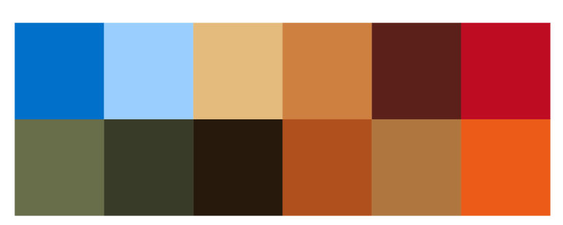 Paleta de cores baseada nas imagens coletadas no moodboard