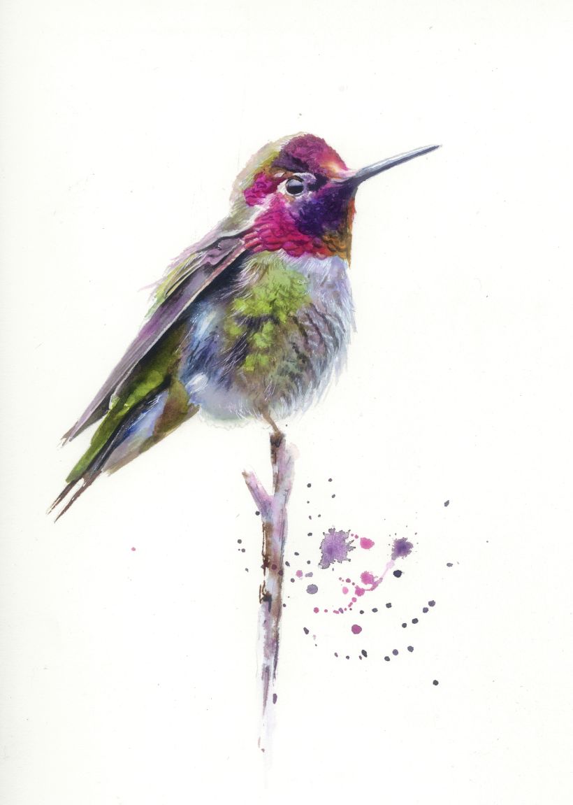 Tricky birds to paint as it’s easy to overdo the colour and detail! 