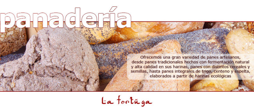 Horno La Tortuga. Fotografía de producto, Diseño web y diseño de catálogo. 5