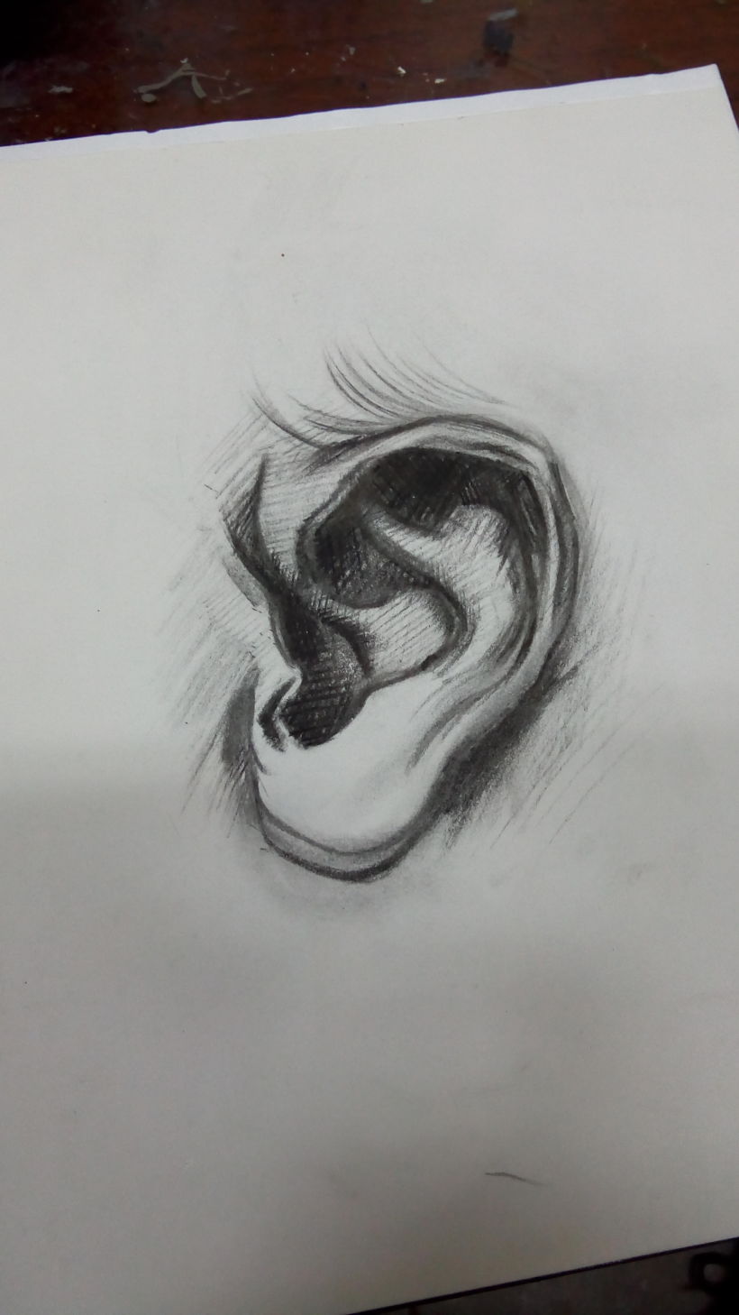 Estudio de una oreja en carboncillo.