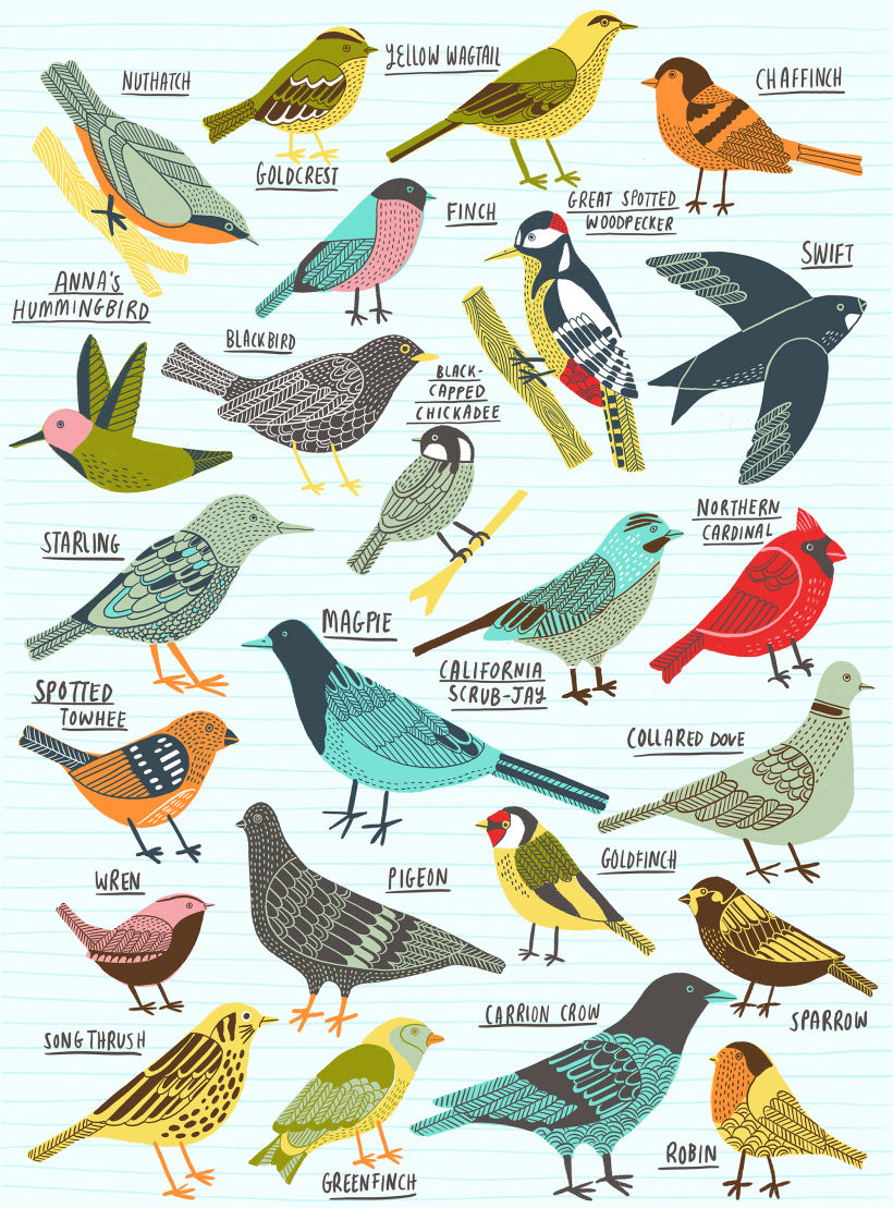Birds of Portland -1