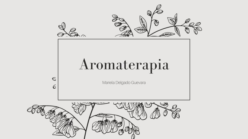 Proyecto de Aromaterapia. (creación de una marca y producto) 0