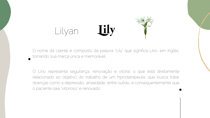 Lilyan Araujo | Identidade Visual e Manual de Marca - Síntese Gráfica 2