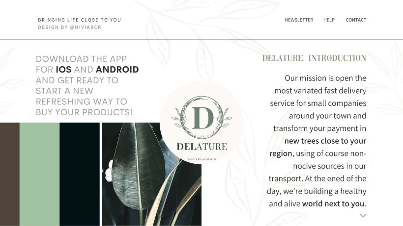 DELATURE: Delivery for local companies and a huge natural world. (Theory of Color) 0