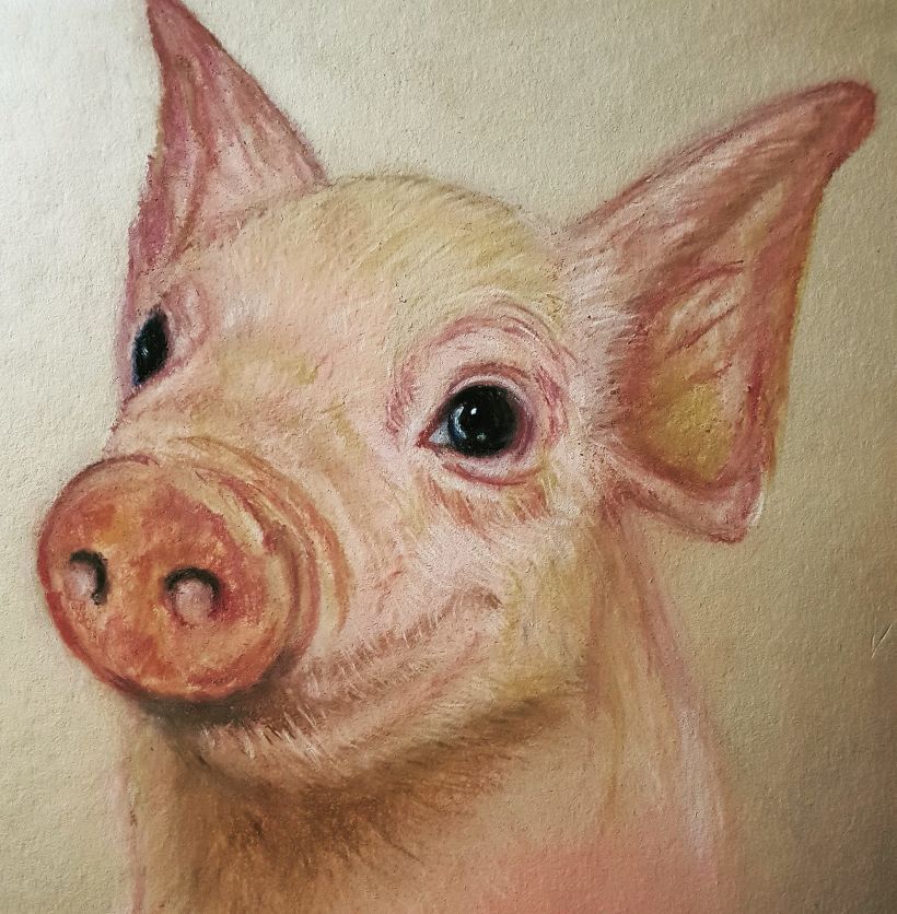 Pastellstifte Pig  0