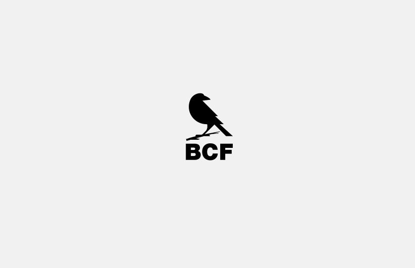 BCF / Blackbird Charity Finance 2