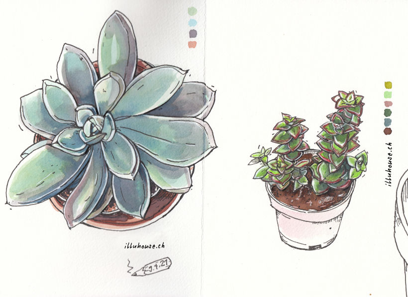 My project in Botanical Sketchbooking: A Meditative Approach course 1