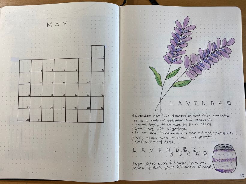 My project in Introduction to Illustrated Bullet Journaling course