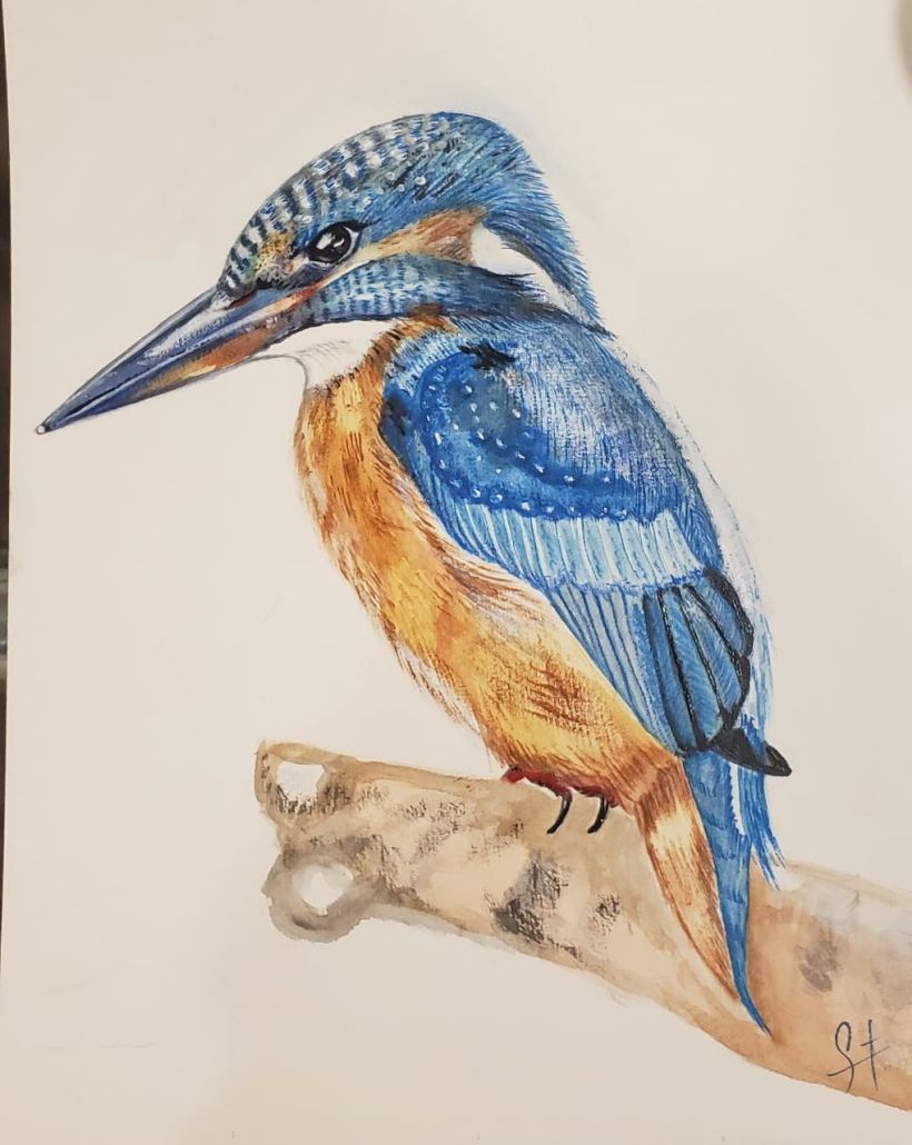 Mi Proyecto del curso: Ilustración naturalista de aves con acuarela 0