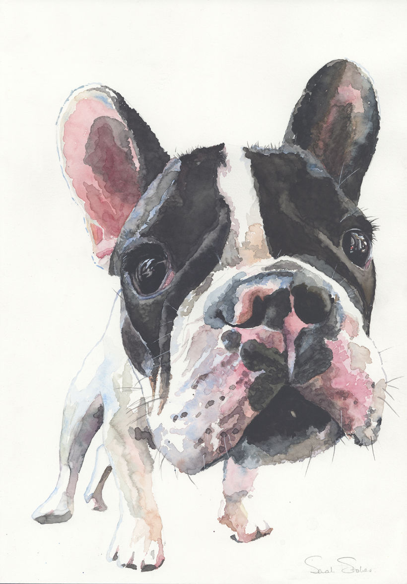 Cachorro em aquarela, Sarah Stokes