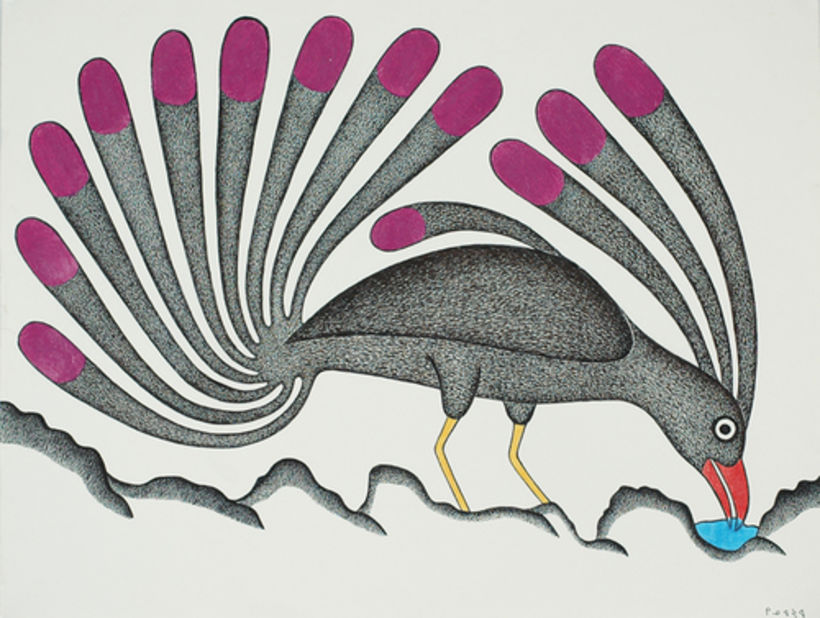 Kenojuak Ashevak, Sem Título, 2009. Grafite, lápis de cor e caneta pentel. Cortesia de Dorset Fine Arts