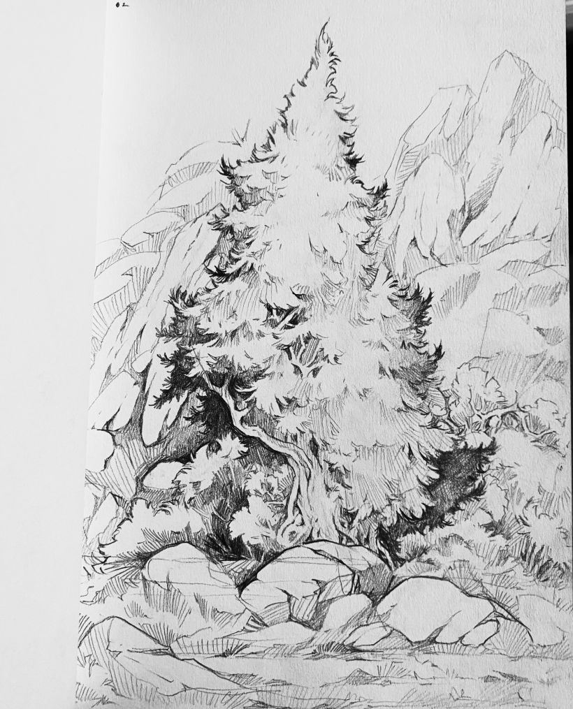 Day 2. sketch using graphite 
