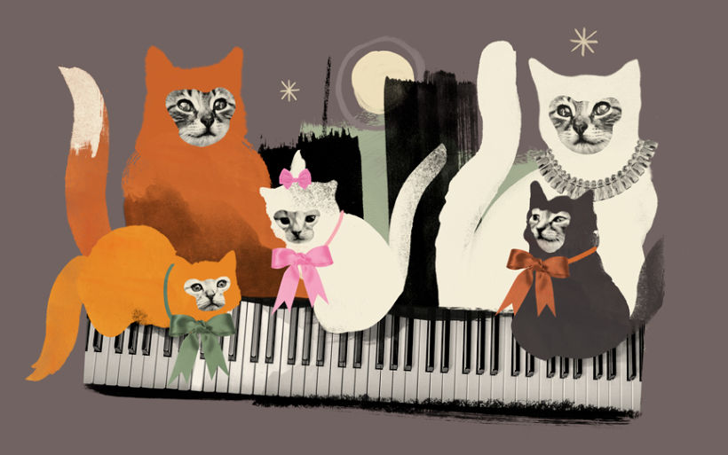 Medio siglo de gato jazz. Texto: Andrea Chapela 