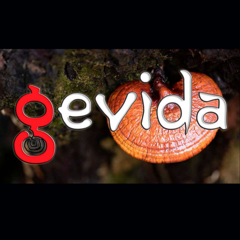 Categoría: Diseño / Nombre: Gevida logo / Cliente: Gevida - Productos organicos.