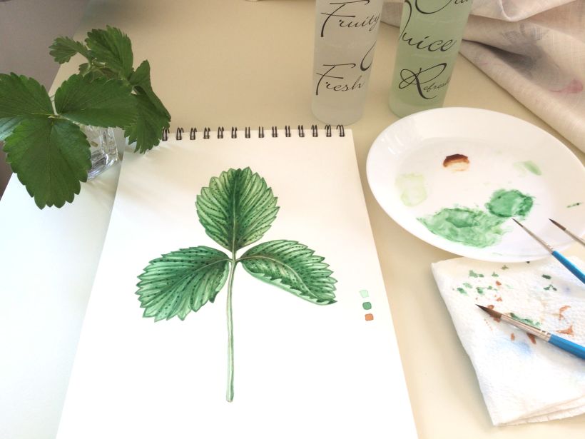 My project in Botanical Illustration with Watercolors course 1
